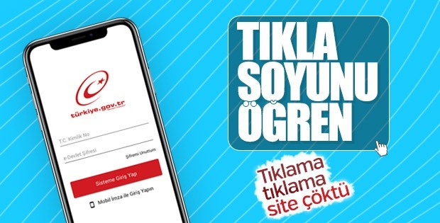 soy-agaci-sorgulama-2 soy-agaci-sorgulama